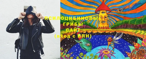 spice Покров