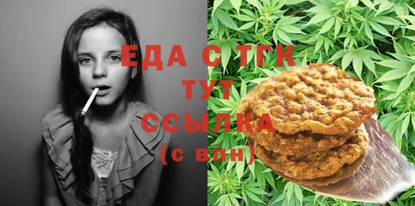 мдпв Протвино