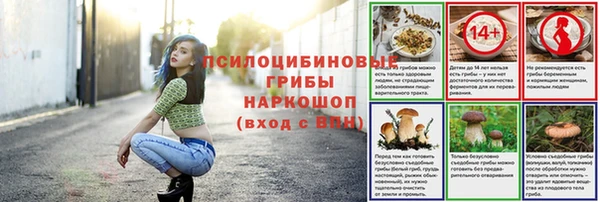 spice Покров