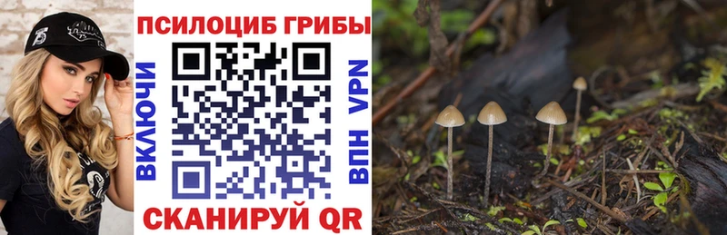 kraken сайт Луга Псилоцибиновые грибы MAGIC MUSHROOMS