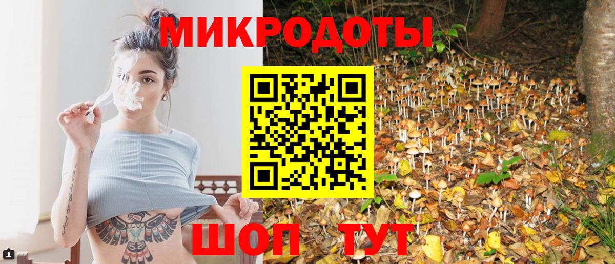 Галлюциногенные грибы Psilocybe  купить закладку  Луга  Галлюциногенные грибы прущие грибы 